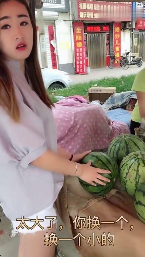 吃瓜河南网红福建女友,河南网红与福建女友的甜蜜瓜田生活